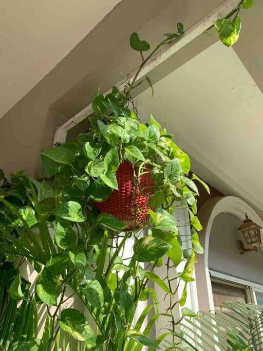 Furnished Villa Near Airport, Away From City Bhopal Ngoại thất bức ảnh